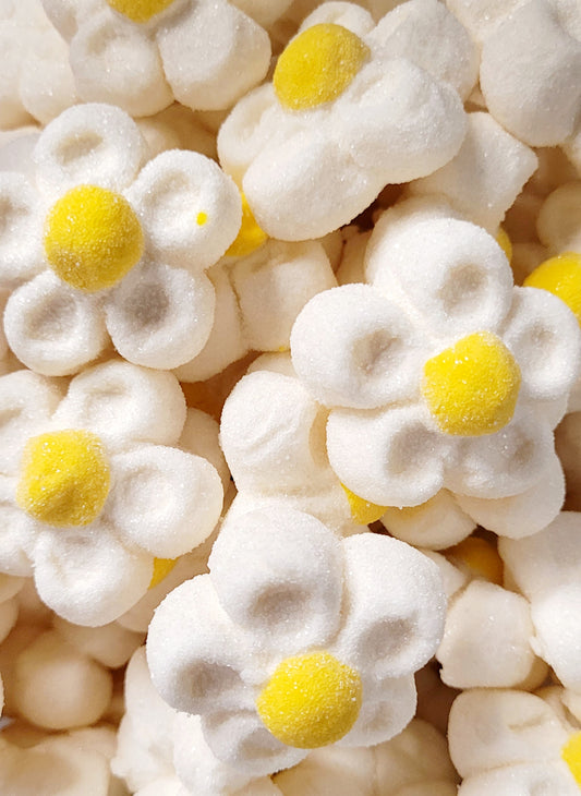 Fleurs blanches marshmallow